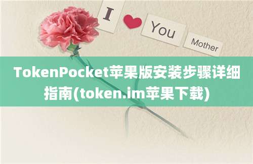 TokenPocket苹果版安装步骤详细指南(token.im苹果下载)