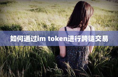 如何通过im token进行跨链交易