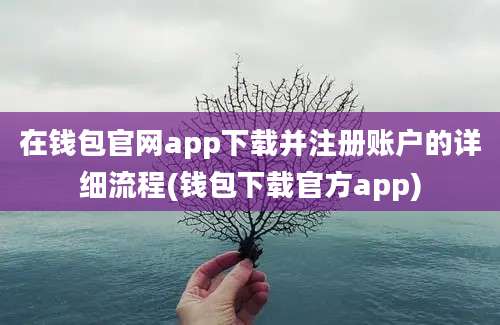 在钱包官网app下载并注册账户的详细流程(钱包下载官方app)