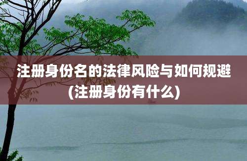 注册身份名的法律风险与如何规避(注册身份有什么)