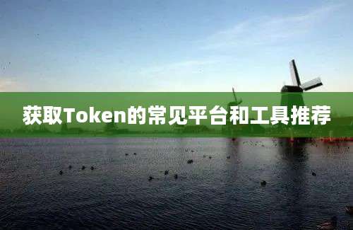 获取Token的常见平台和工具推荐