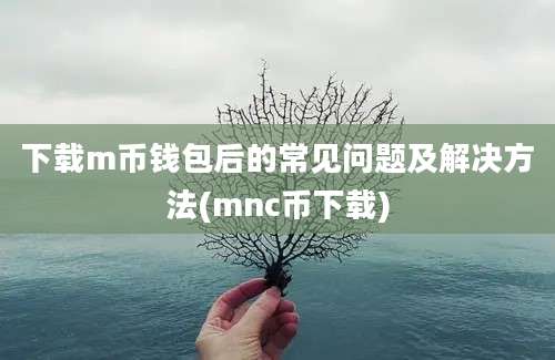 下载m币钱包后的常见问题及解决方法(mnc币下载)