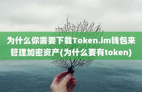 为什么你需要下载Token.im钱包来管理加密资产(为什么要有token)