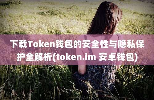 下载Token钱包的安全性与隐私保护全解析(token.im 安卓钱包)