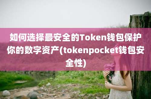 如何选择最安全的Token钱包保护你的数字资产(tokenpocket钱包安全性)