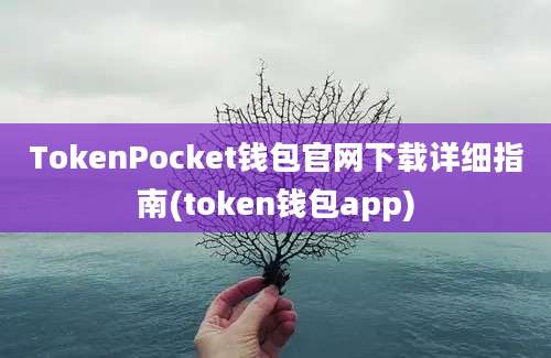 TokenPocket钱包官网下载详细指南(token钱包app)