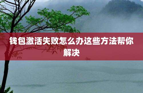 钱包激活失败怎么办这些方法帮你解决