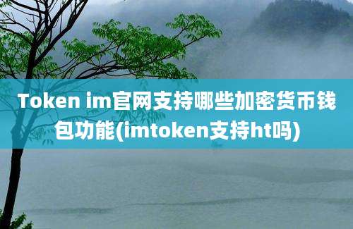 Token im官网支持哪些加密货币钱包功能(imtoken支持ht吗)