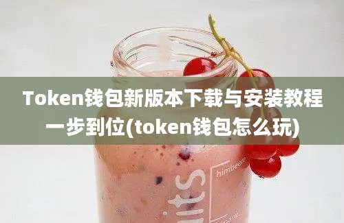 Token钱包新版本下载与安装教程一步到位(token钱包怎么玩)