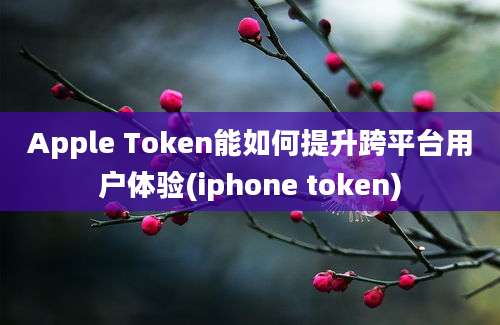 Apple Token能如何提升跨平台用户体验(iphone token)