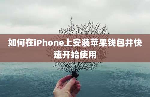 如何在iPhone上安装苹果钱包并快速开始使用