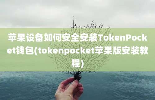 苹果设备如何安全安装TokenPocket钱包(tokenpocket苹果版安装教程)