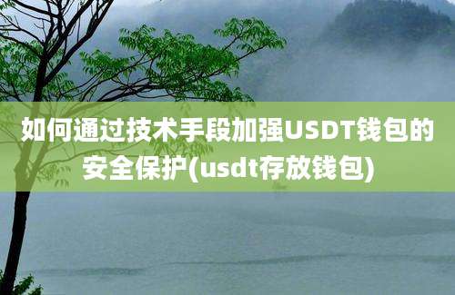 如何通过技术手段加强USDT钱包的安全保护(usdt存放钱包)