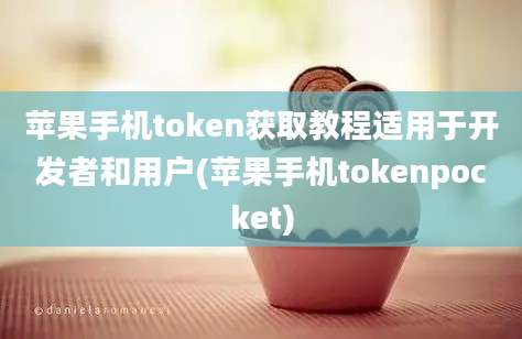 苹果手机token获取教程适用于开发者和用户(苹果手机tokenpocket)