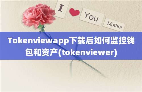 Tokenviewapp下载后如何监控钱包和资产(tokenviewer)