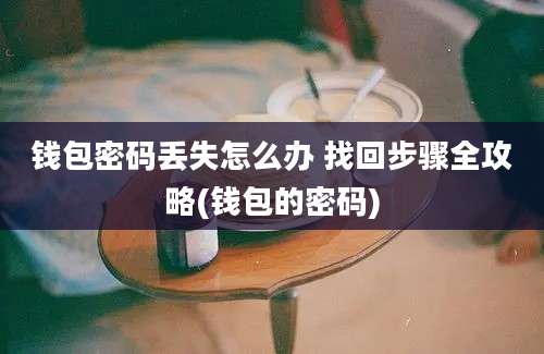 钱包密码丢失怎么办 找回步骤全攻略(钱包的密码)