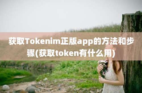 获取Tokenim正版app的方法和步骤(获取token有什么用)