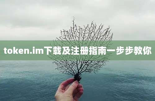 token.im下载及注册指南一步步教你