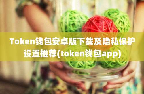 Token钱包安卓版下载及隐私保护设置推荐(token钱包app)