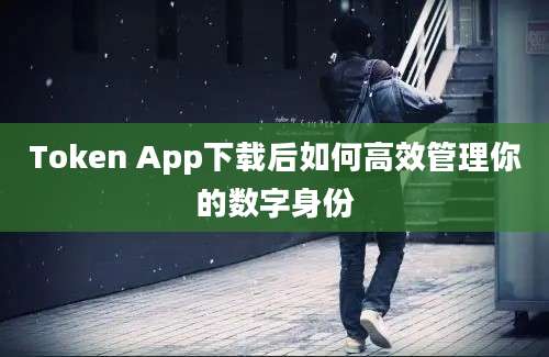 Token App下载后如何高效管理你的数字身份