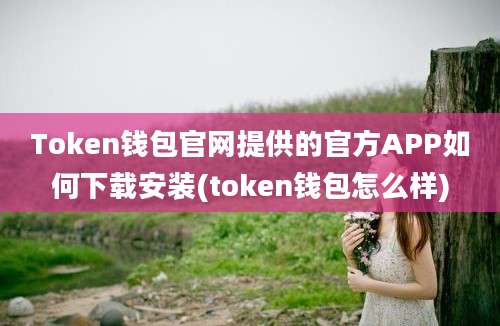 Token钱包官网提供的官方APP如何下载安装(token钱包怎么样)