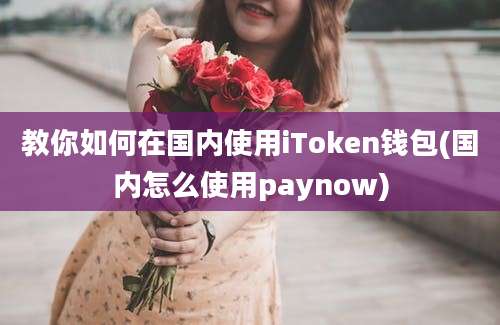 教你如何在国内使用iToken钱包(国内怎么使用paynow)