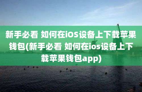 新手必看 如何在iOS设备上下载苹果钱包(新手必看 如何在ios设备上下载苹果钱包app)