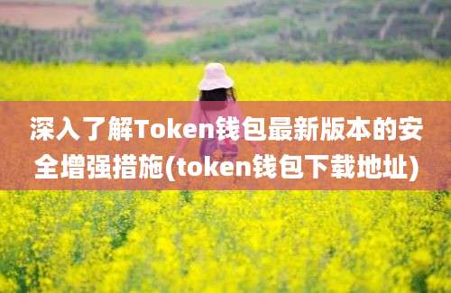 深入了解Token钱包最新版本的安全增强措施(token钱包下载地址)