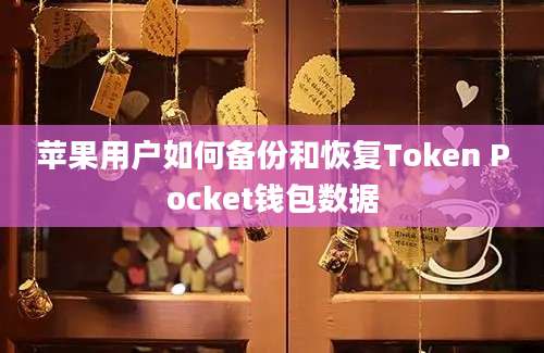 苹果用户如何备份和恢复Token Pocket钱包数据