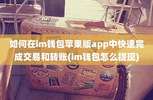 如何在im钱包苹果版app中快速完成交易和转账(im钱包怎么提现)