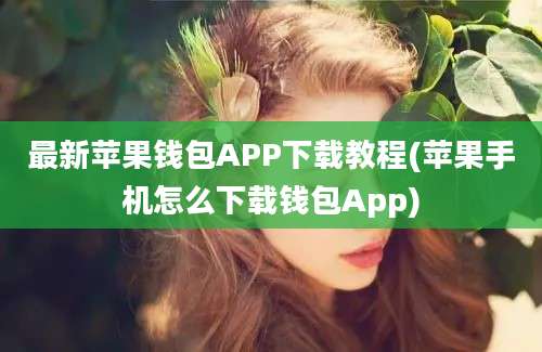 最新苹果钱包APP下载教程(苹果手机怎么下载钱包App)