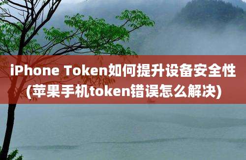 iPhone Token如何提升设备安全性(苹果手机token错误怎么解决)