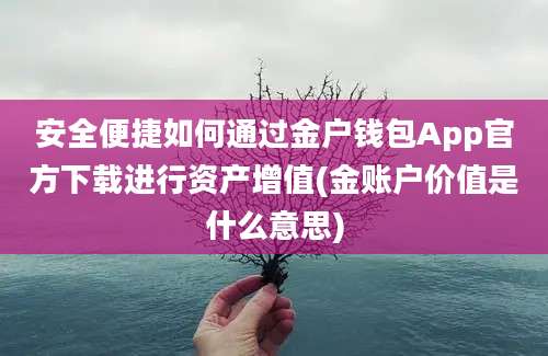 安全便捷如何通过金户钱包App官方下载进行资产增值(金账户价值是什么意思)