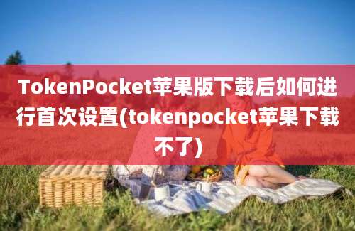 TokenPocket苹果版下载后如何进行首次设置(tokenpocket苹果下载不了)