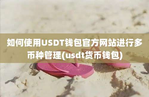 如何使用USDT钱包官方网站进行多币种管理(usdt货币钱包)