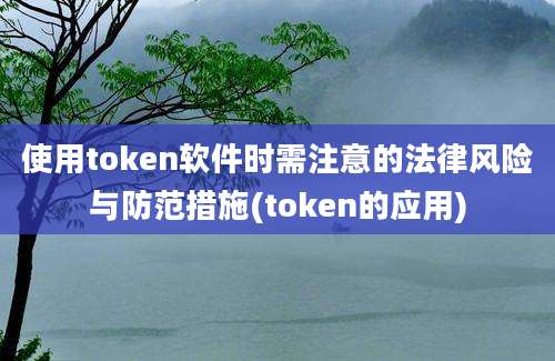 使用token软件时需注意的法律风险与防范措施(token的应用)