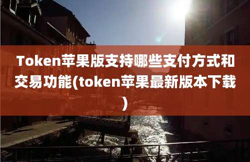 Token苹果版支持哪些支付方式和交易功能(token苹果最新版本下载)