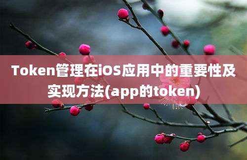 Token管理在iOS应用中的重要性及实现方法(app的token)