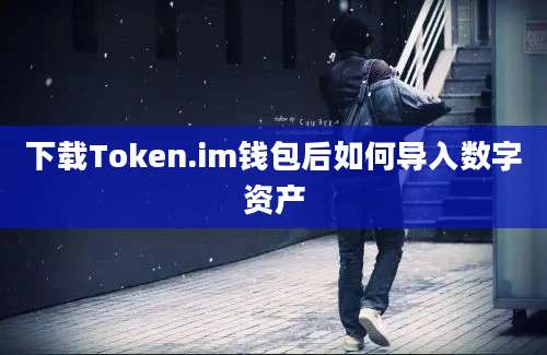 下载Token.im钱包后如何导入数字资产