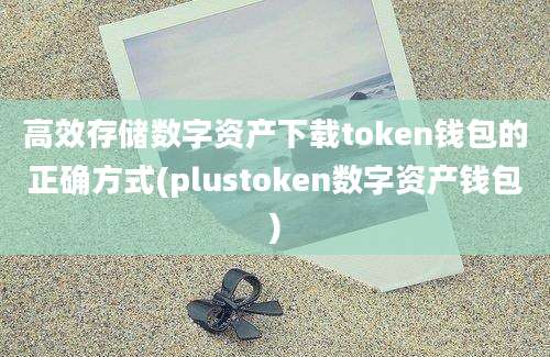 高效存储数字资产下载token钱包的正确方式(plustoken数字资产钱包)