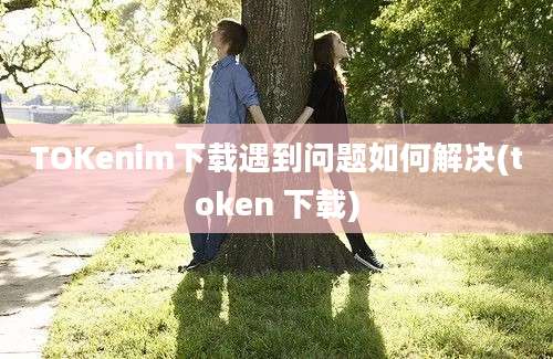 TOKenim下载遇到问题如何解决(token 下载)