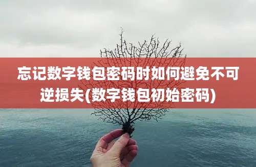 忘记数字钱包密码时如何避免不可逆损失(数字钱包初始密码)