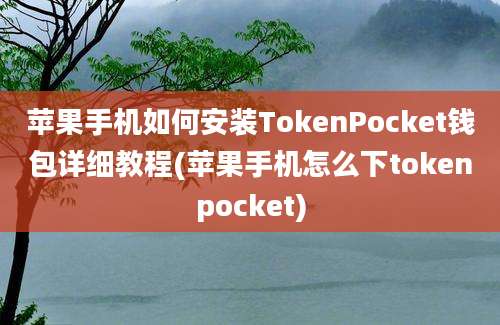 苹果手机如何安装TokenPocket钱包详细教程(苹果手机怎么下tokenpocket)