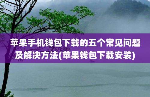 苹果手机钱包下载的五个常见问题及解决方法(苹果钱包下载安装)