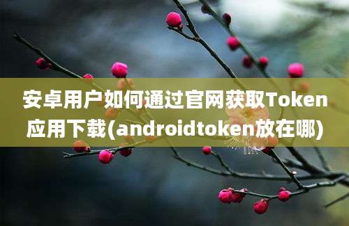 安卓用户如何通过官网获取Token应用下载(androidtoken放在哪)