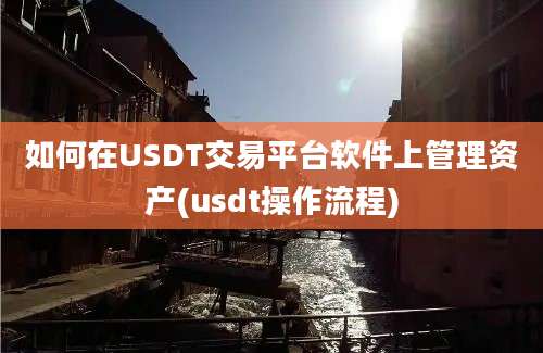 如何在USDT交易平台软件上管理资产(usdt操作流程)