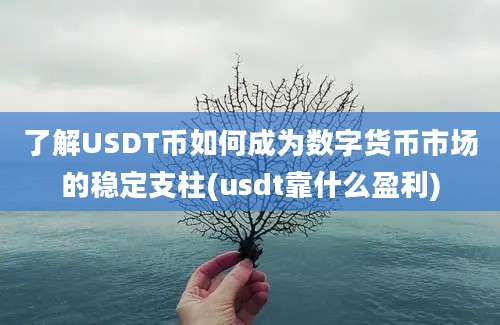 了解USDT币如何成为数字货币市场的稳定支柱(usdt靠什么盈利)