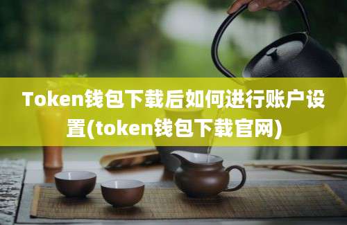 Token钱包下载后如何进行账户设置(token钱包下载官网)