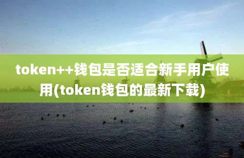 token++钱包是否适合新手用户使用(token钱包的最新下载)