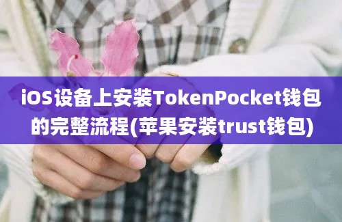 iOS设备上安装TokenPocket钱包的完整流程(苹果安装trust钱包)